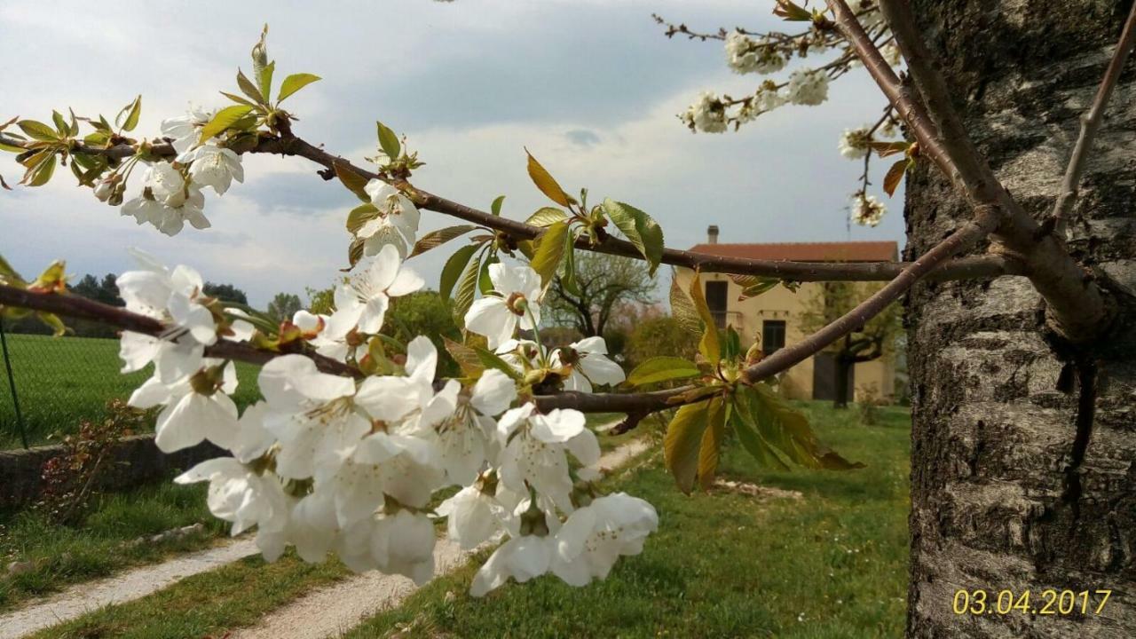ספלו B&B Fior Fiore מראה חיצוני תמונה
