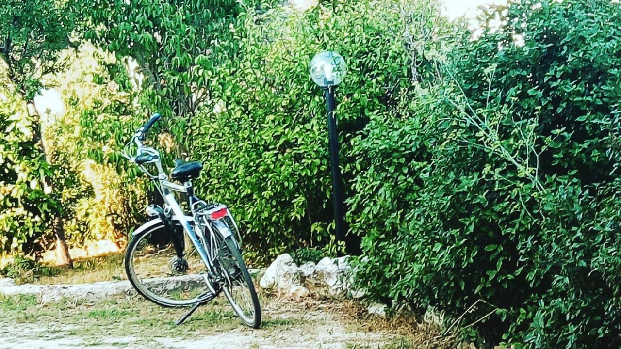 ספלו B&B Fior Fiore מראה חיצוני תמונה